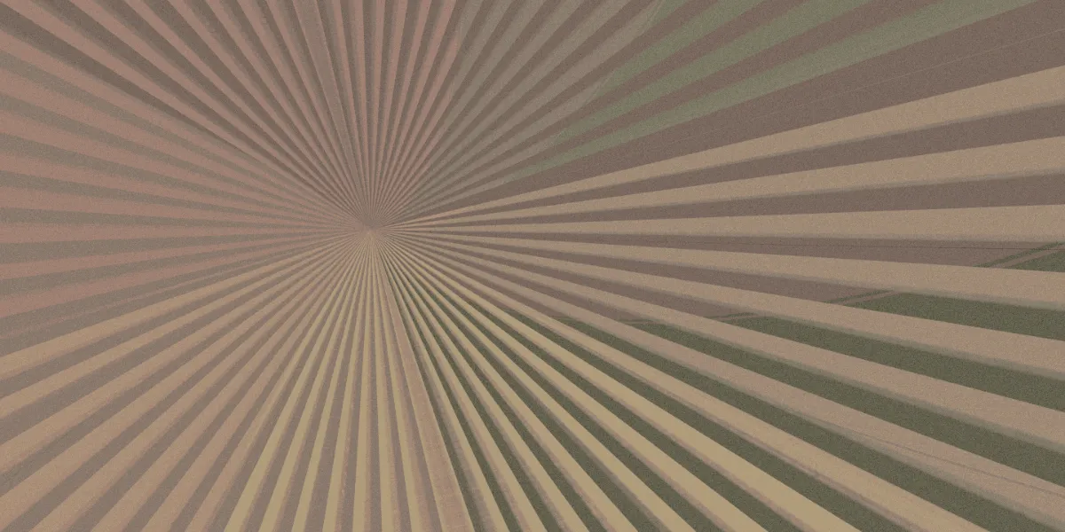 A piece of fractal art produced by FractalPane.