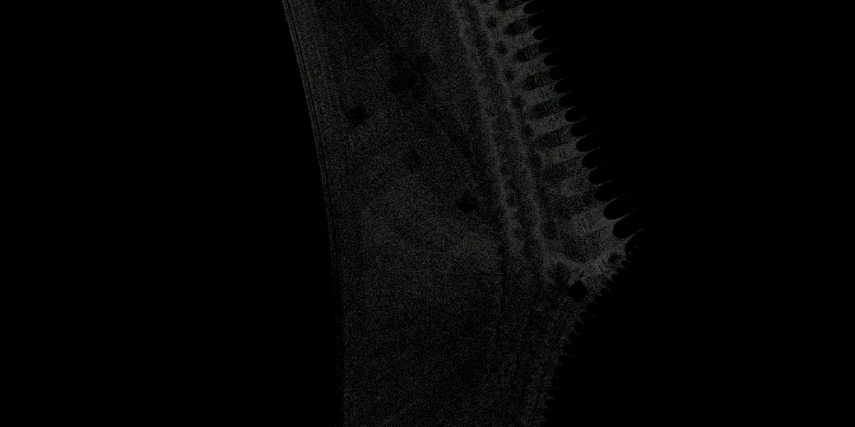 A piece of fractal art produced by FractalPane.
