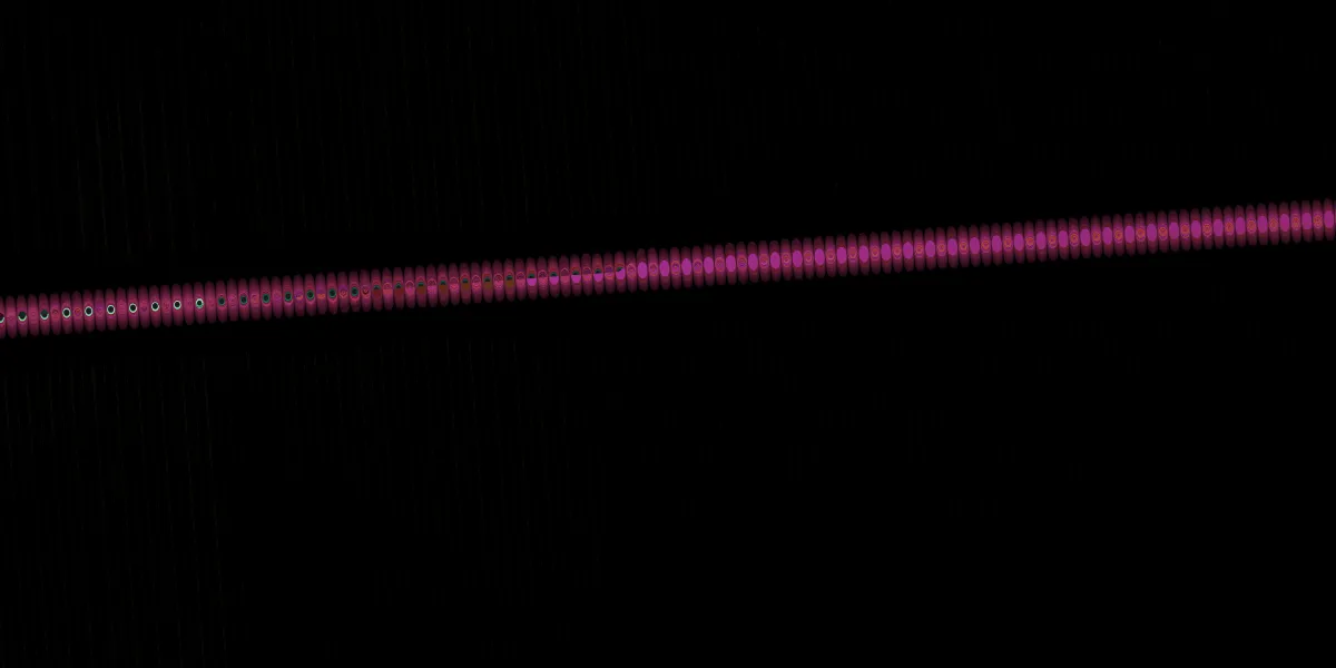 A piece of fractal art produced by FractalPane.